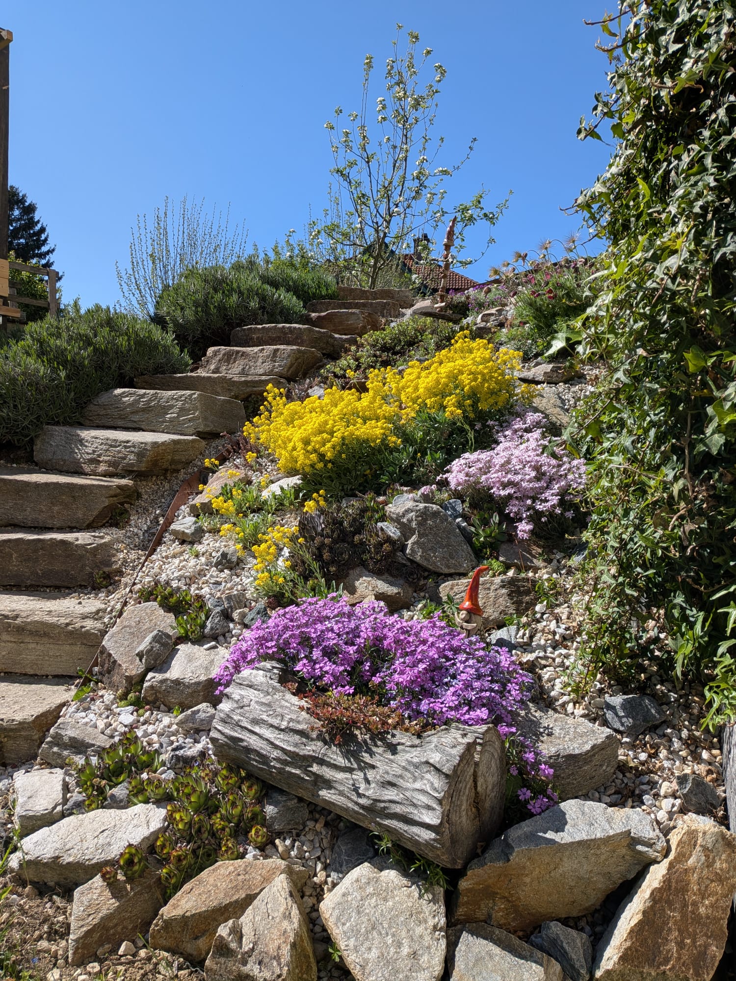 Garten 7 – Bauerngarten